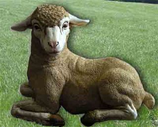Lamb Lying Down (L55cm x H45 cm) [x= 2]