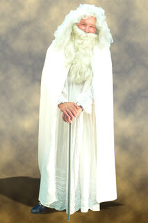 Lord of the Rings - Gandalf