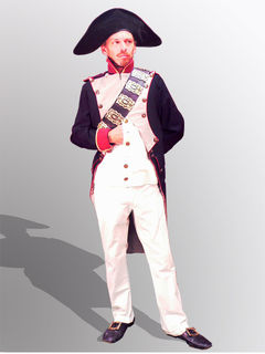 Napoleon Soldier