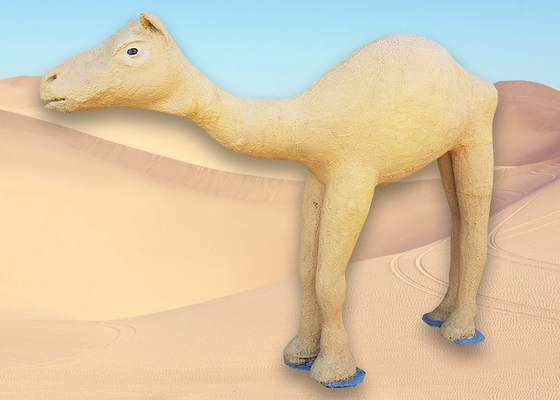Camel/Dromedar (L: 2.4m x H: 1.7m D: 0.4m)