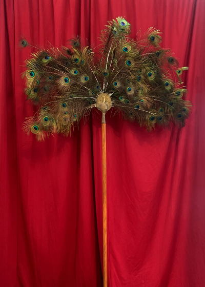 Peacock Feather Fan (H: 2.2m)