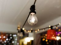 Festoon Lights Clear Warm White (L: 10m)