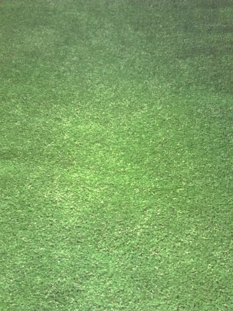 Astro Turf/Fake Grass (3m x 4m)