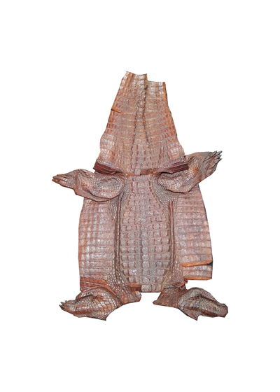 Crocodile Skin (1.53m x 0.96m)