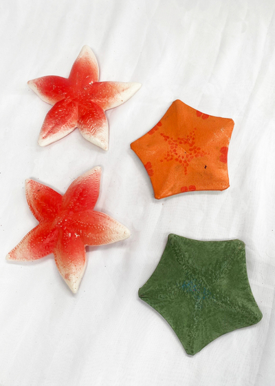 Starfish Small Assorted (D: 10cm)