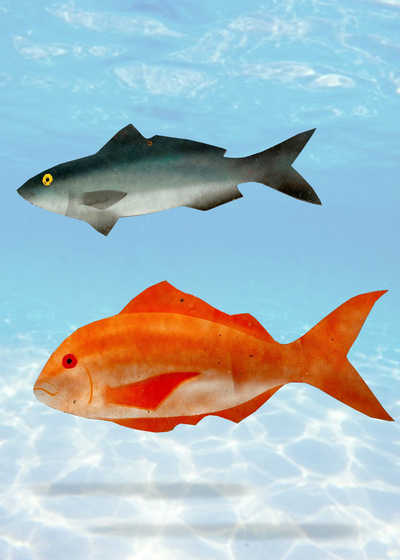 Fish Cut-out Orange and Grey (L: 50cm)