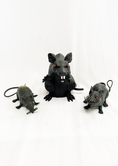 Rat Small Assorted (L: 23cm)