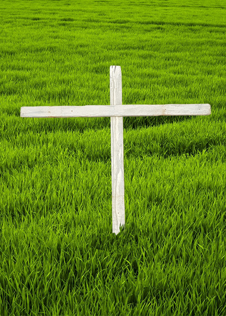 Crosses/Crucifix White Wide (H: 1.01m x W: 1m) 