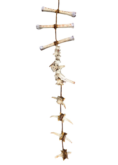 String Of Bones (H: 1.2m)