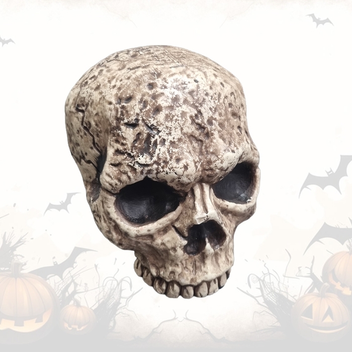 Monster Skull #3 - Plastic Jawless