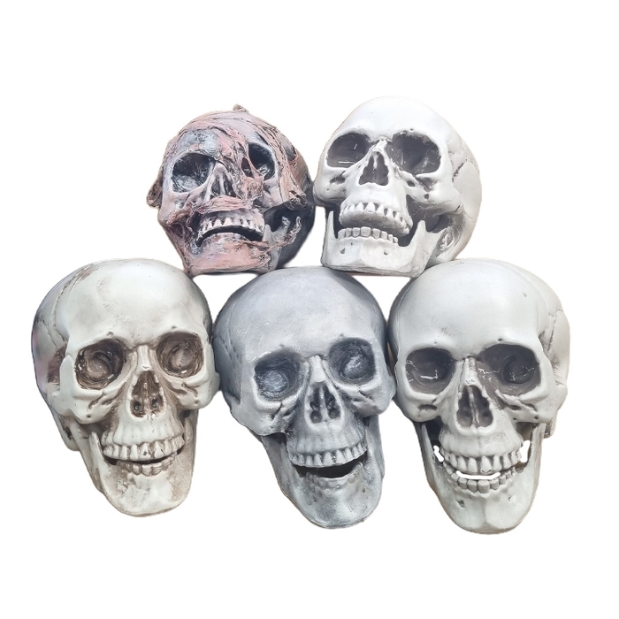 Human Skull #1: Plastic w/ Hinged Jaw (H: 16cm x L: 20cm x W: 15cm)