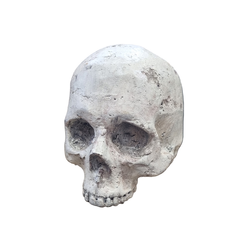 Human Skull #5: Foam White (H: 16cm x L: 20cm x W: 16cm)