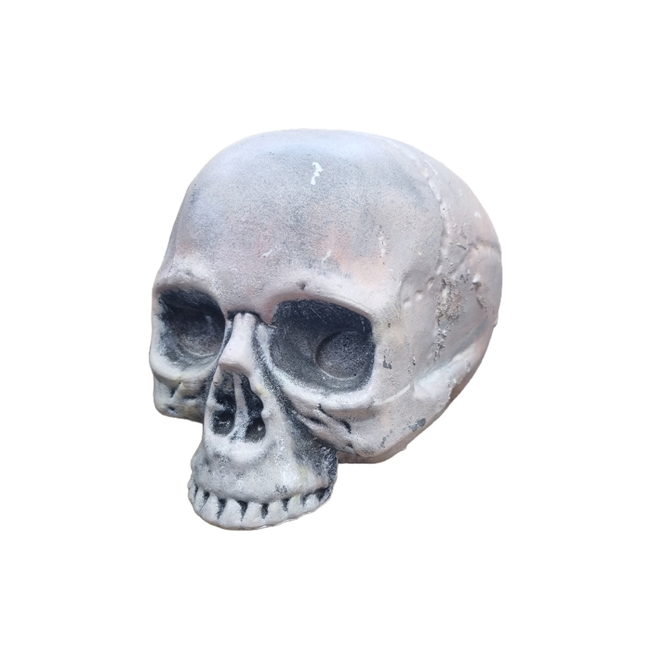 Human Skull #6: Plastic - No Jaw (H: 15cm x L: 18cm x W: 14cm)