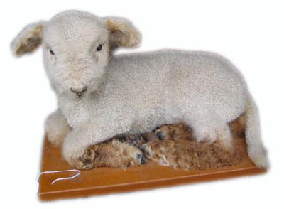 Stuffed Lamb Lying Down w/Brown Legs