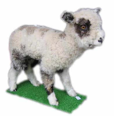 Stuffed Lamb Standing
