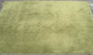 Rug Shag Sage (2.5m x 2.5m)