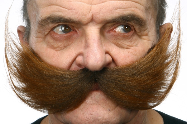Moustache Bushy