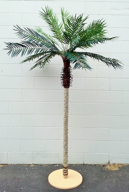 Tree Phoenix Palms Large (H: 2.5m x W: 1.2m)