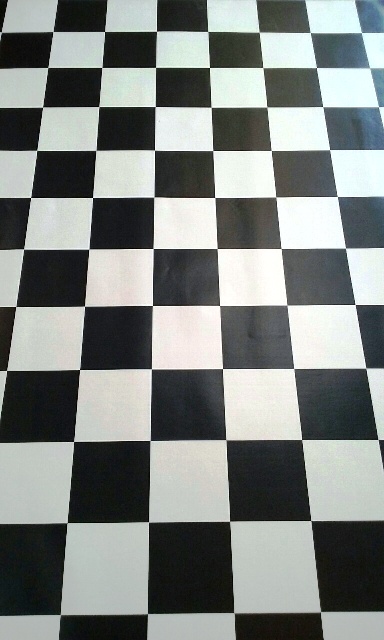 Vinyl Checked Black & white (2m x 1.75m)