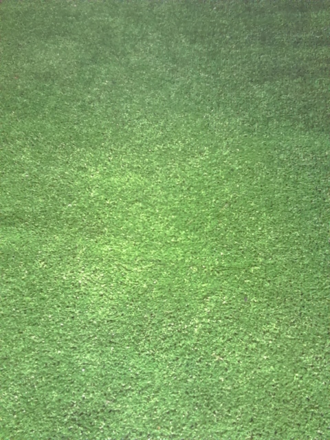 Astro Turf/Fake Grass Runner 1.2m x 4m (2 in stock)