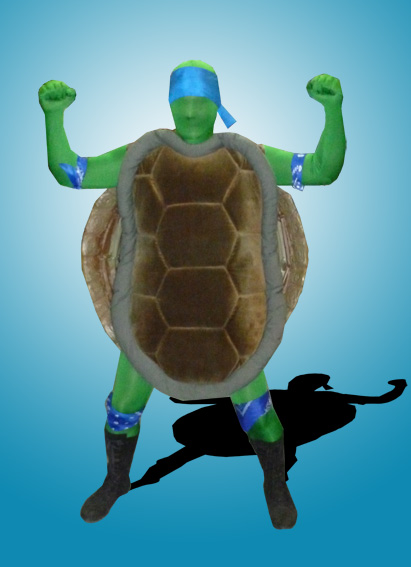 Bandit Turtle