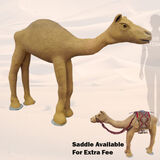 Camel/Dromedar (L: 2.4m x H: 1.7m D: 0.4m)