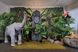 Jungle