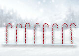 Candy Cane Fence (L: 2.4m)