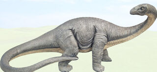 Dinosaurs / Pre-Historic