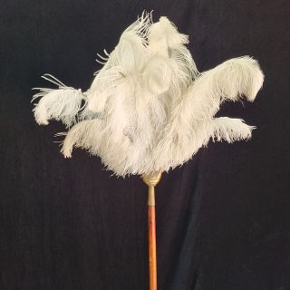 Feather Fan White Ostrich (H: 2.1m x W: 0.63m)