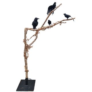 Branch with Black Crows Assorted (H: 2.1m x W: 0.93m)