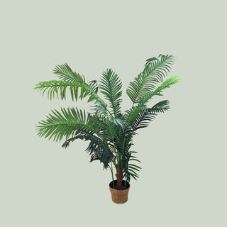 Hawaiian Palm Tree Potted (H: 1.5m)