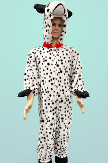 Dalmatian - Kids