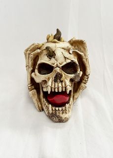 Skull Horror Screaming