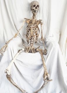 Skeleton Exhumed (real size) Aka Frank