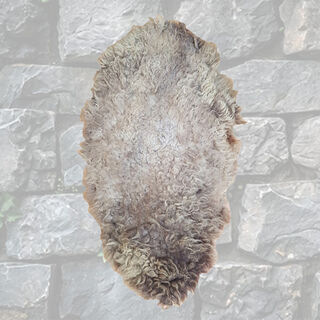 Shield Barbarian Woolly (H: 1.1m x W: 0.6m)