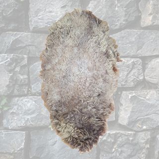 Shield Barbarian Woolly (H: 1.1m x W: 0.6m)