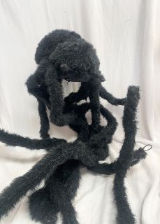 Spider Large Black (2m Span)