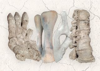 Dinosaur Bones Small Assorted (24-60cm)