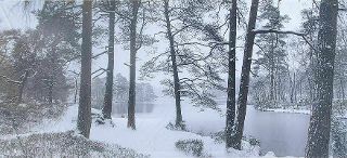 Winter Lake Scene Backdrop (W: 5.7m H: 2.4m)