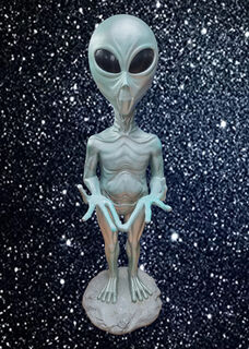 Alien (H: 1m x W: 0.3m x D: 40cm) 6kg