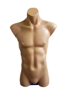 Torso #5 Male Nude (H: 0.8m)