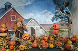 Halloween Pumpkin Patch