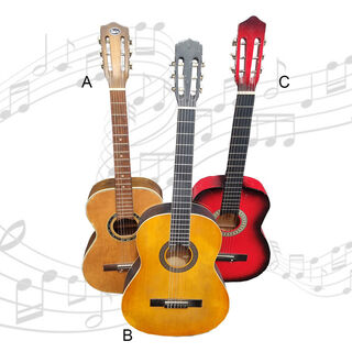 Acoustic Guitar (standard size)