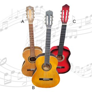 Acoustic Guitar (standard size)