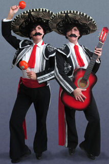 Mariachi Band