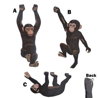 Monkey Cut-out (H: 0.7m x W: 0.3m)
