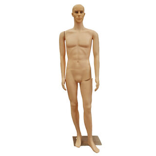 Mannequin #23 Male Full Plastic 