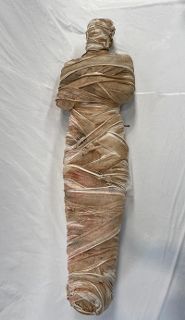 Mummy #2 (1.7m x 0.5m x 0.3m)
