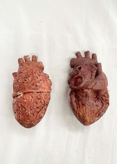 Body Parts - Heart